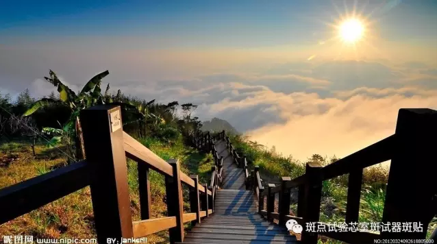 QQ图片20180516163320.png
