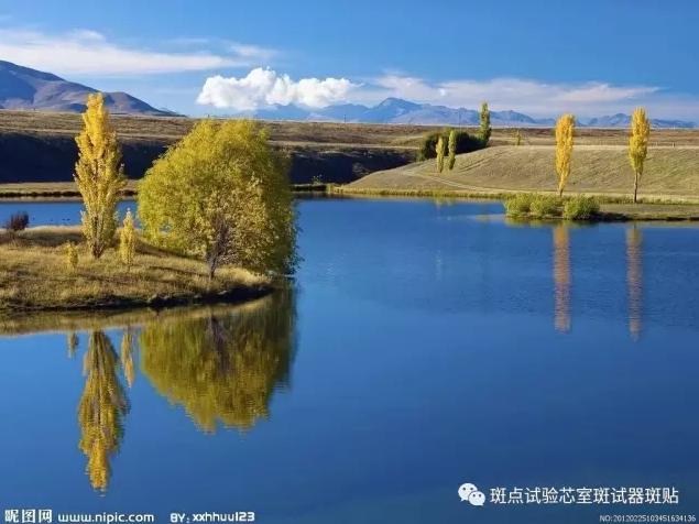 QQ图片20180516164723.png