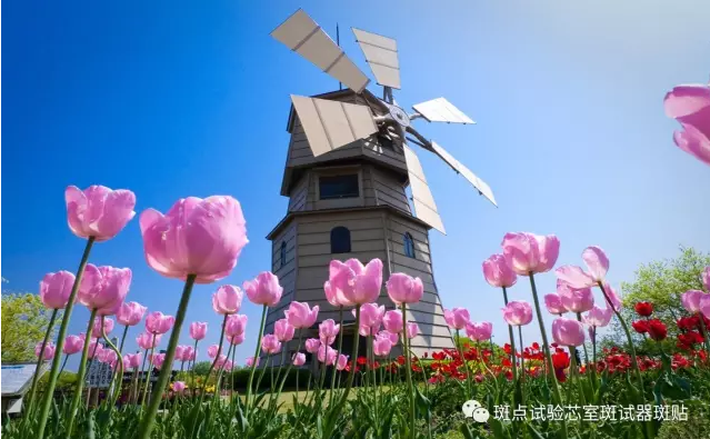QQ图片20180516173636.png