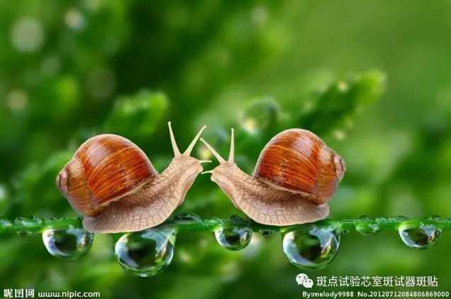 QQ图片20180517154048.png