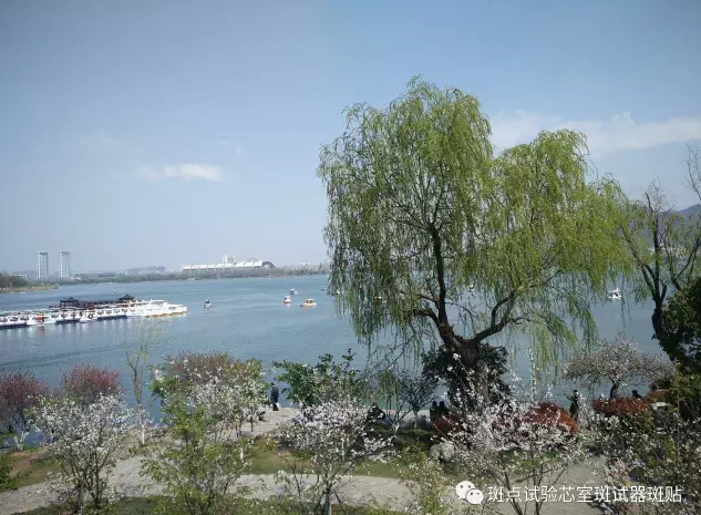 QQ图片20180517152740.png