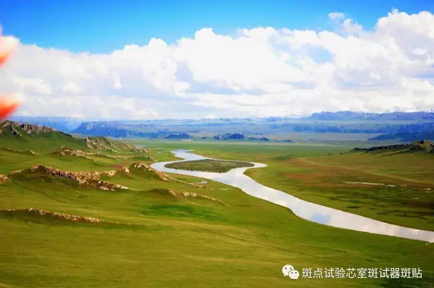 QQ图片20180517161608.png