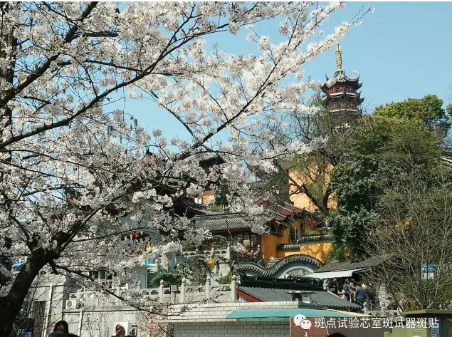 QQ图片20180517152426.png